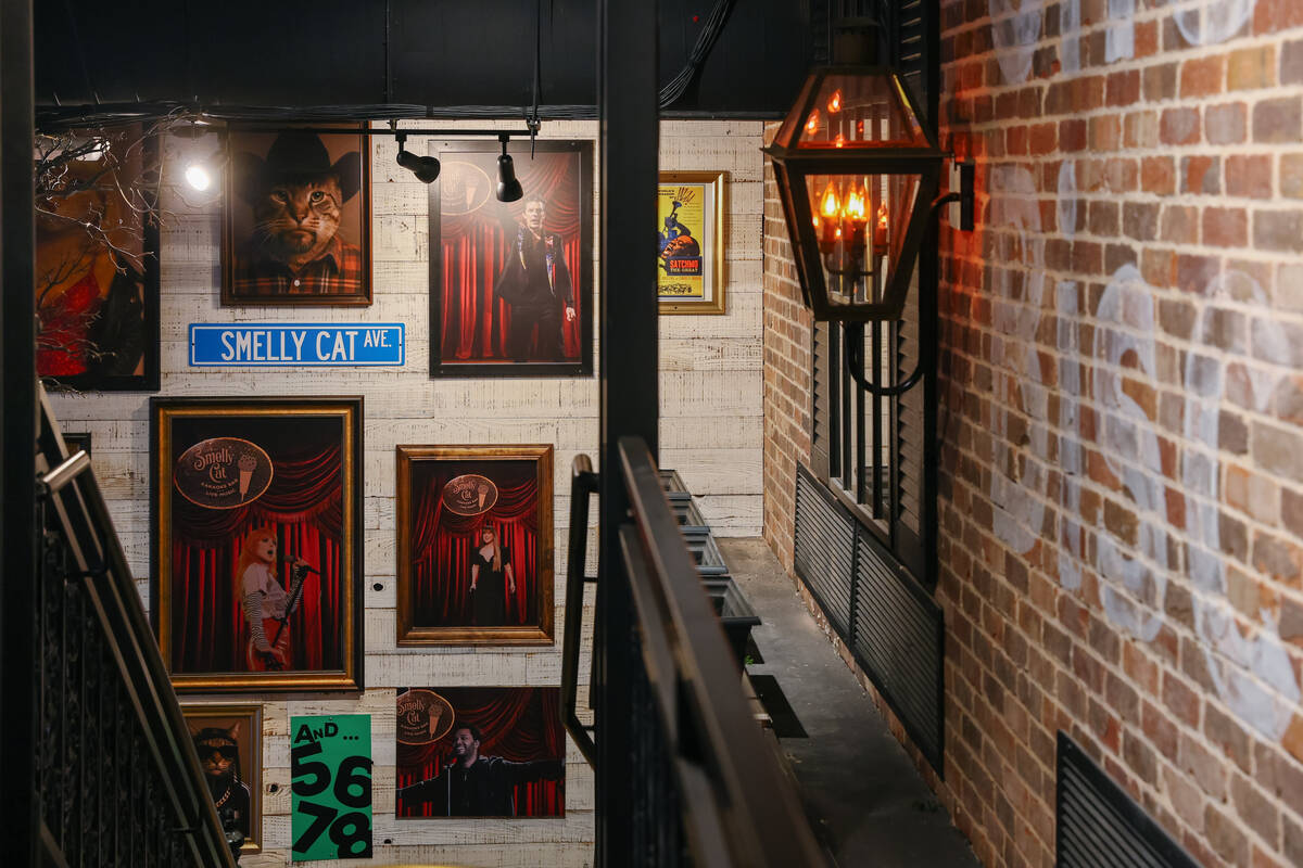 Art depicting various famous singers superimposed upon the Smelly Cat stage decorates one wall ...