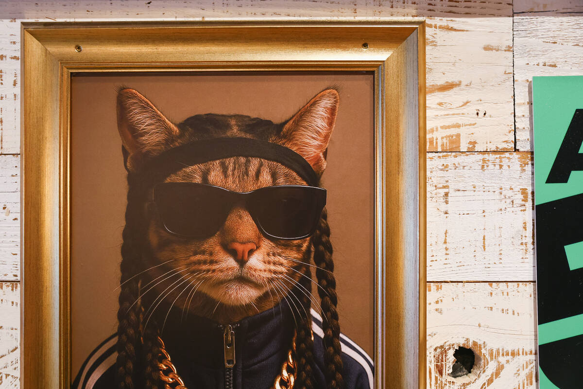 A piece of wall art shows Snoop Dogg reimagined as Snoop Catt, one of several musicians depicte ...