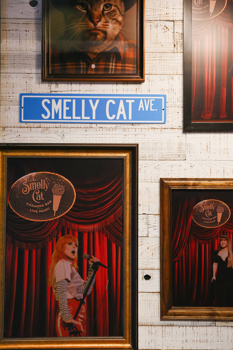 Art depicting various famous singers superimposed upon the Smelly Cat stage decorates one wall ...