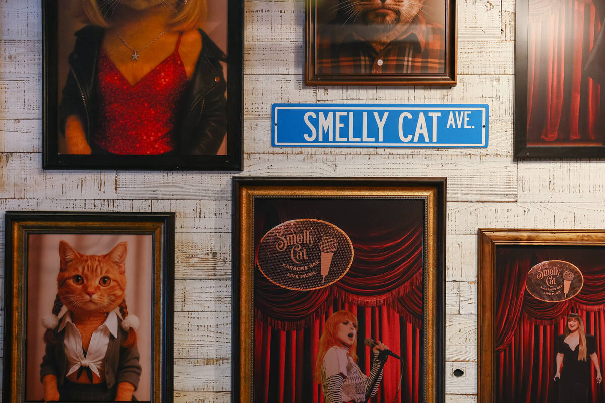 Art depicting various famous singers superimposed upon the Smelly Cat stage decorates one wall ...