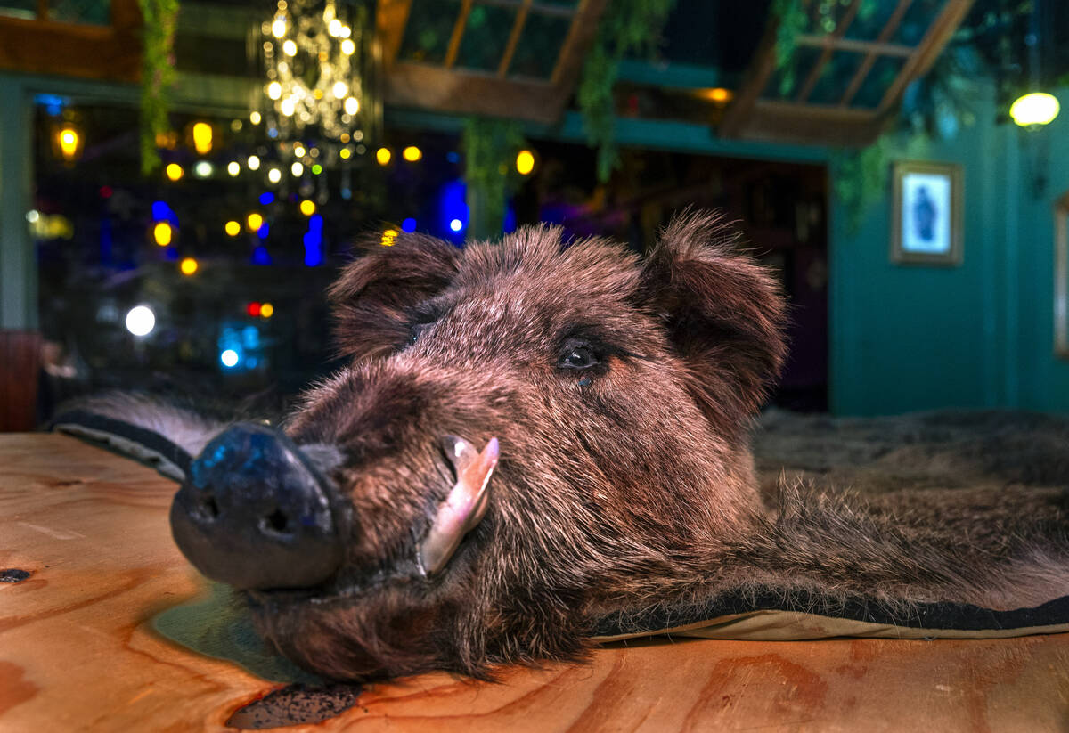 A large boars head and fur will be mounted to the ceiling inside the new Grey Witch bar and res ...