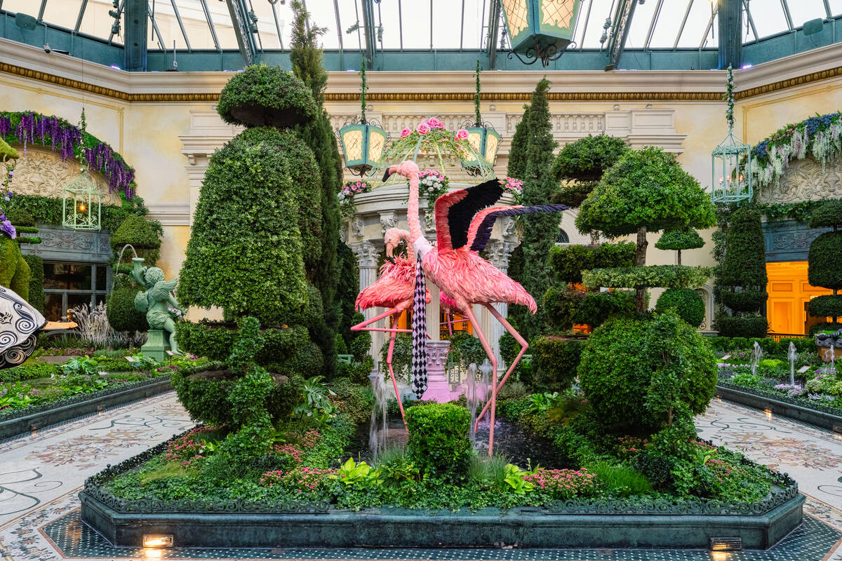 The Bellagio Conservatory & Botanical Gardens has unveiled its new summer 2025 display. (Courte ...