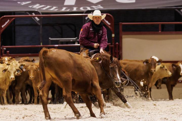 Austin Shepard is shown in the Cutting Horse Challenge at The Run For A Million (TRFAM) at Sout ...