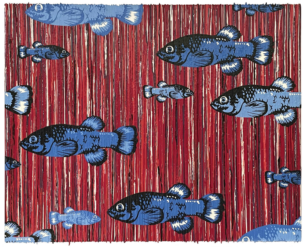 Devils Hole Pupfish from the ‘Jeff Fulmer: Fragile Desert’ exhibition on display at the Deb ...