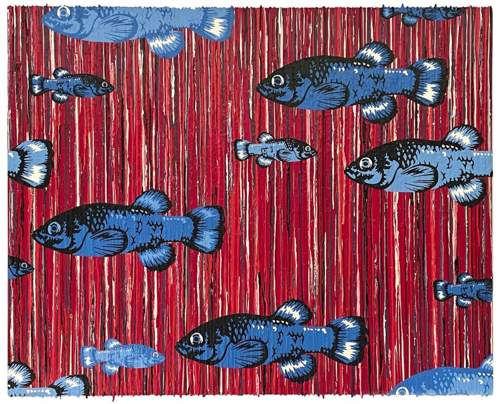 Devils Hole Pupfish from the ‘Jeff Fulmer: Fragile Desert’ exhibition on display at the Deb ...