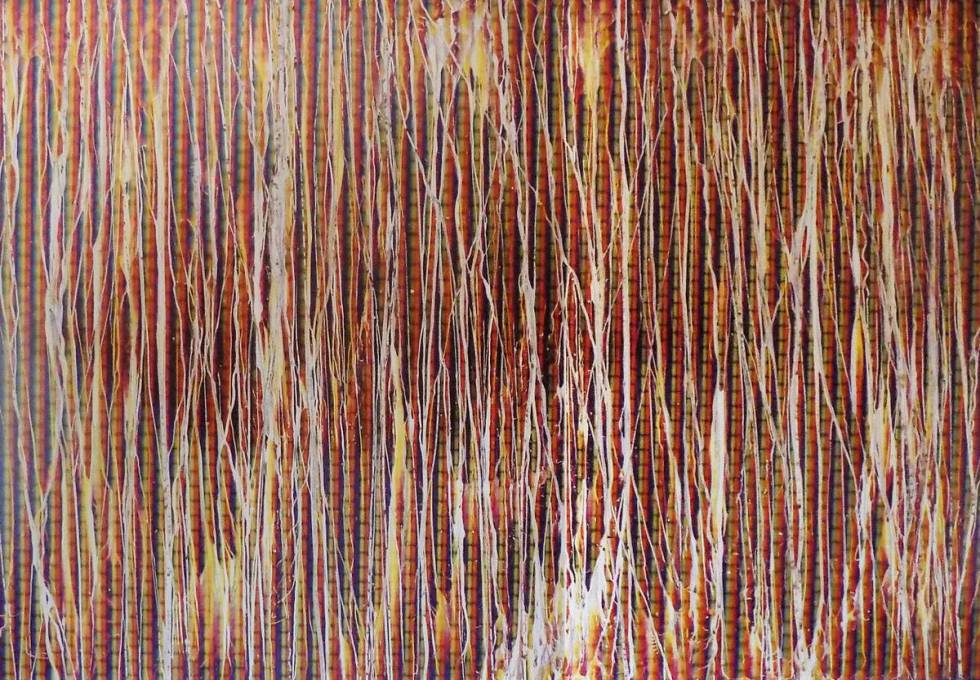 Diane Bush, Skin Deep, 2011, C-print photograph, bleach. (Courtesy, Marjorie Barrick Museum of Art)