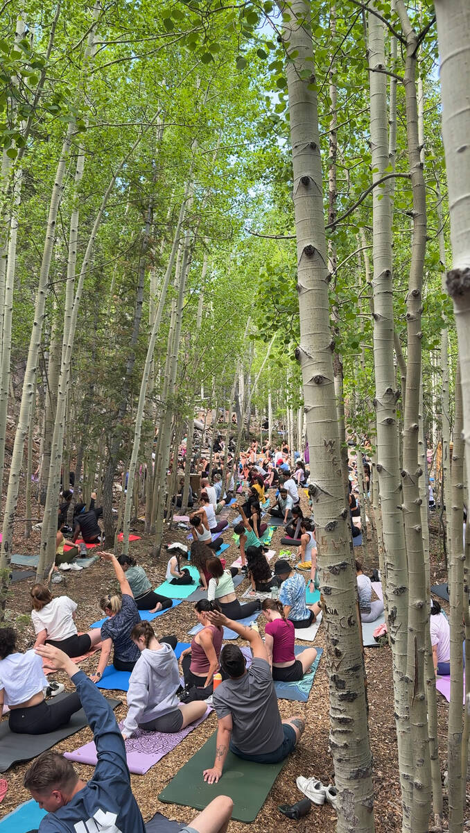An outdoor yoga class is held in the quaking aspen grove of Lee Canyon on Sunday, June 8, 2025. ...