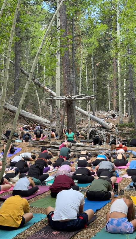 An outdoor yoga class is held in the quaking aspen grove of Lee Canyon on Sunday, June 8, 2025. ...
