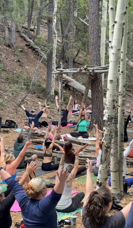 An outdoor yoga class is held in the quaking aspen grove of Lee Canyon on Sunday, June 8, 2025. ...