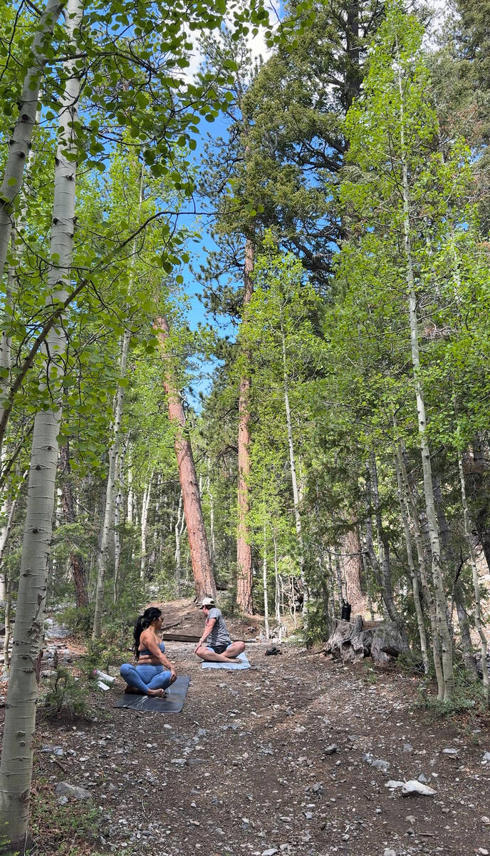 An outdoor yoga class is held in the quaking aspen grove of Lee Canyon on Sunday, June 8, 2025. ...