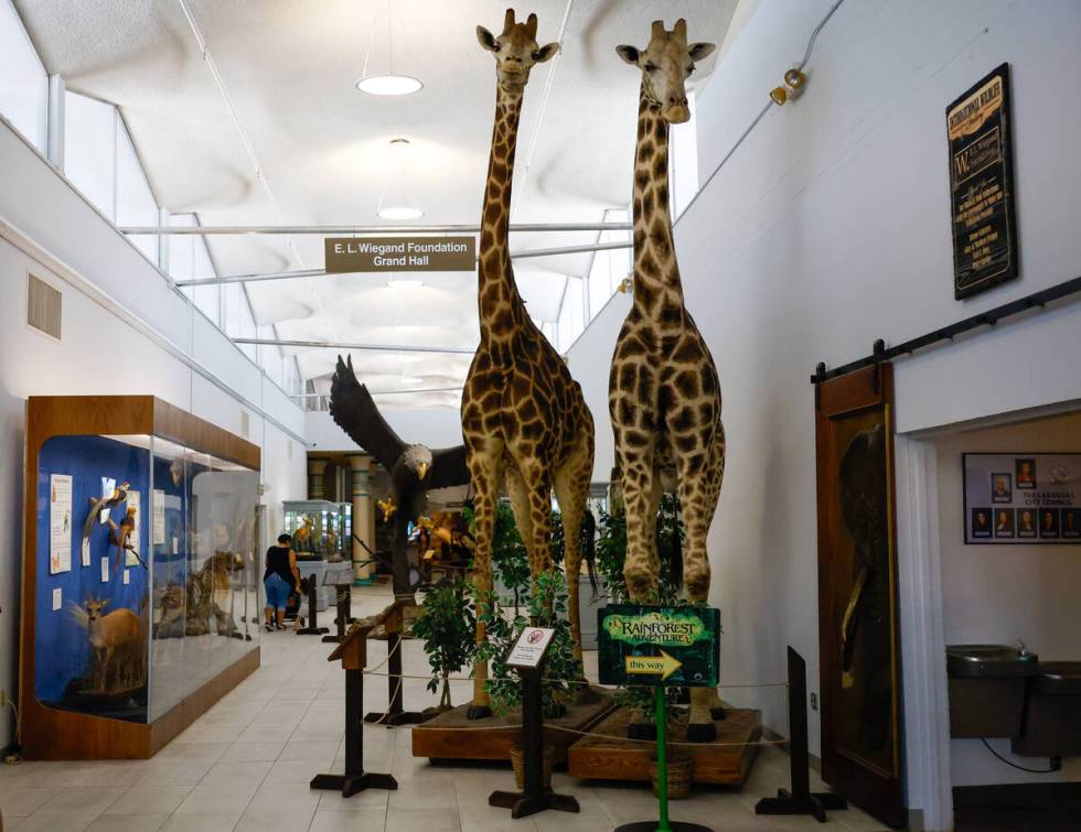 The Natural History Museum in downtown Las Vegas on June 27, 2025. (Kristen DeSilva/Las Vegas R ...