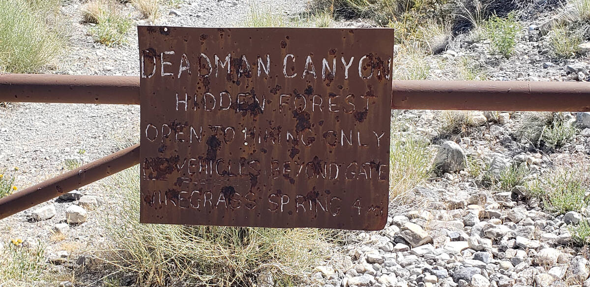 A sign for Deadman Canyon marks the start of the trail to the Hidden Forest in Desert National ...