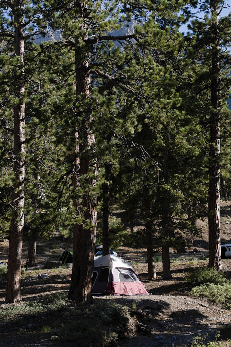 A tent at McWilliams campground near Mount Charleston June 27, 2025. The campground was at full ...