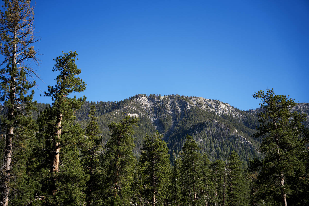 The view from McWilliams campground near Mount Charleston June 27, 2025. The campground was at ...