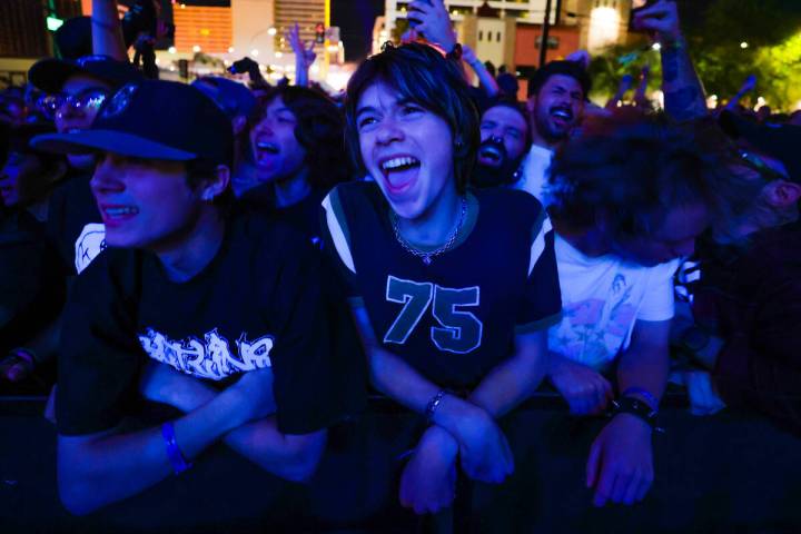 Festival attendees cheer on a set during the Best Friends Forever Festival at the Downtown Las ...