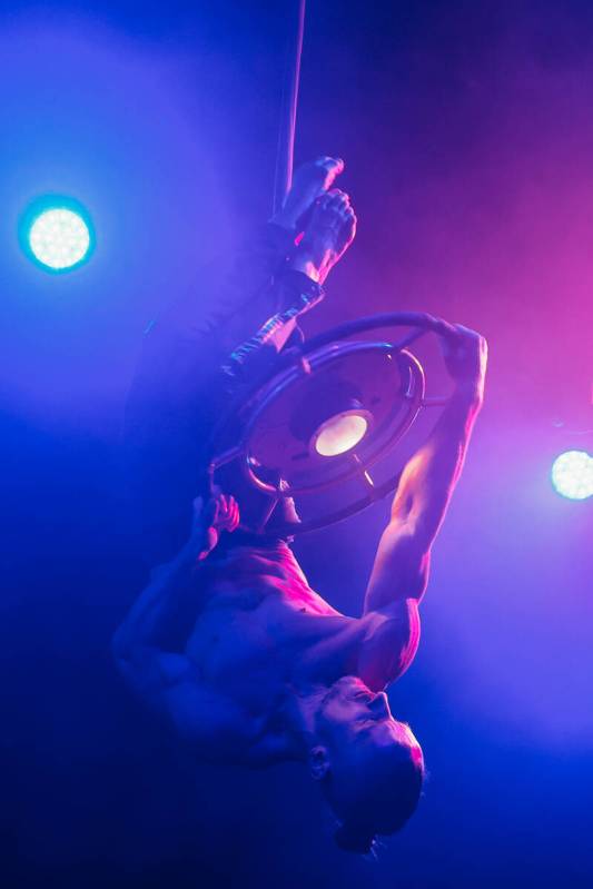 A performer dangles from a light during The Party at Superfrico inside of the Cosmopolitan Sund ...