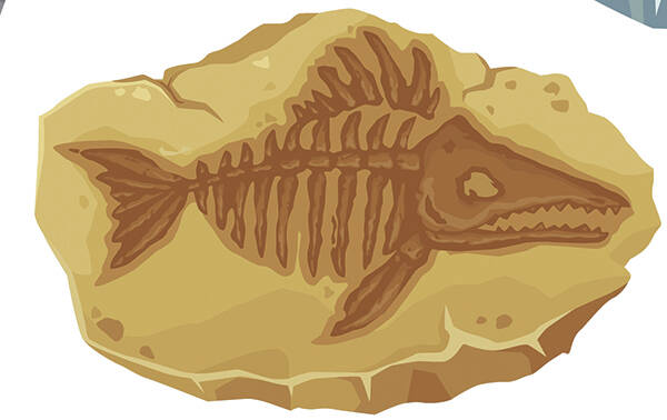 Dinosaur fossils of ancient fish skeleton and stone plant imprint, cartoon vector. Archeology f ...