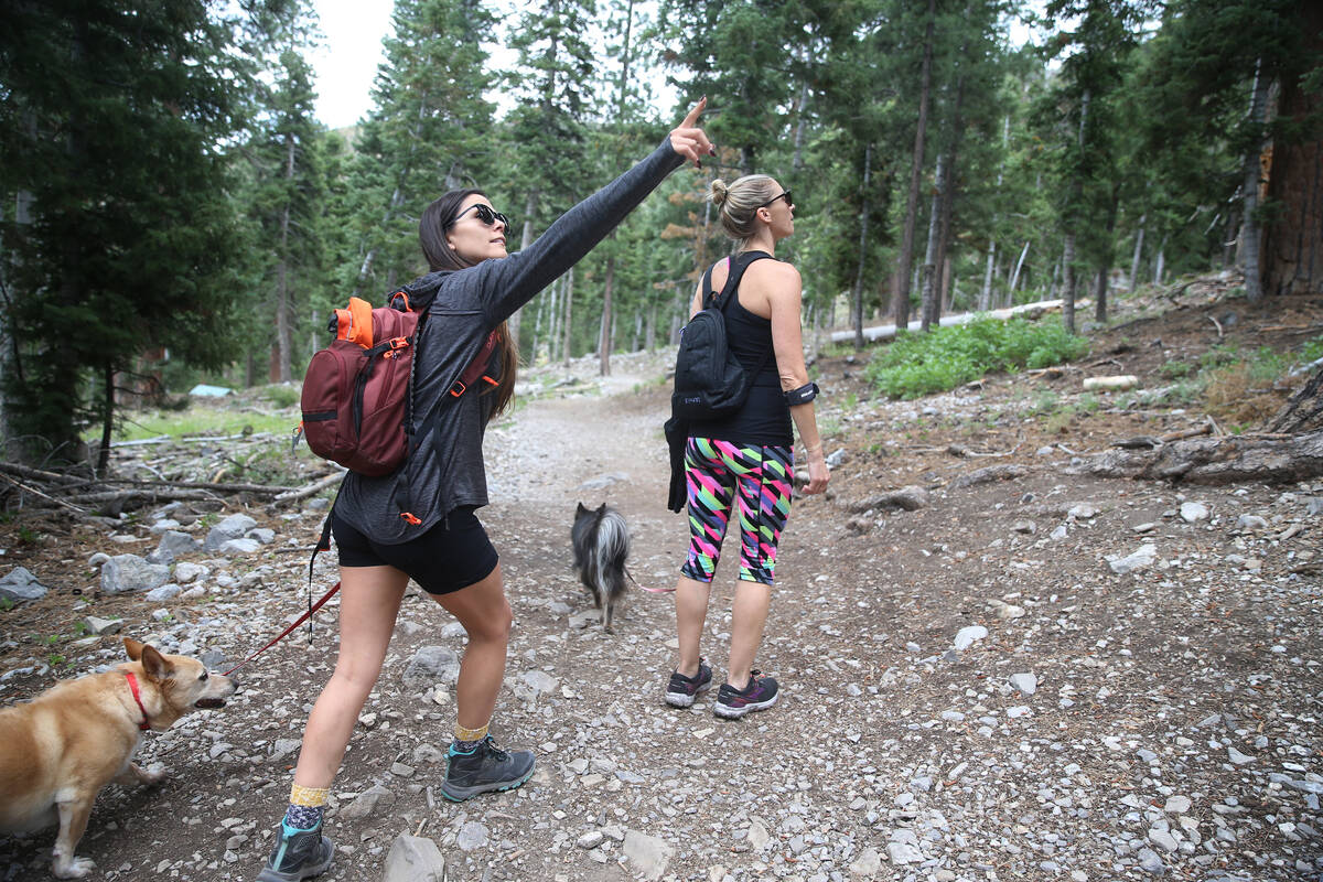 Las Vegas residents Mehka Klimer, left, with her dogs Opie and Rucca, and her friend Laura Mitc ...