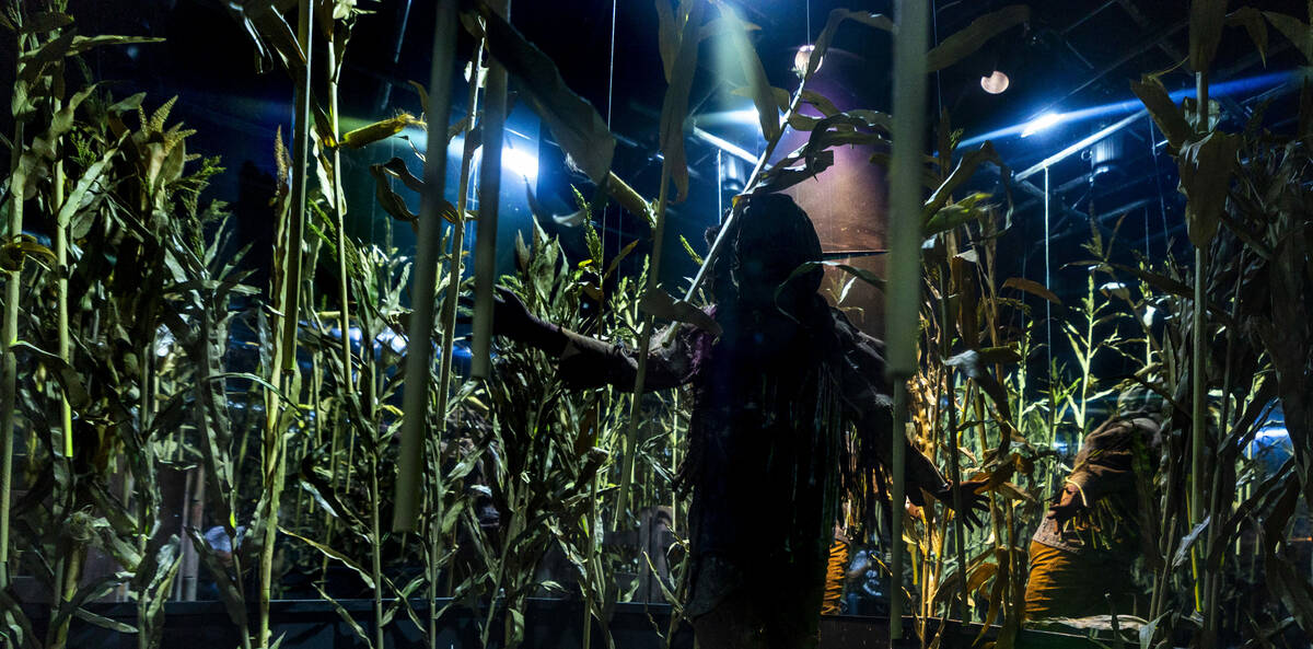 A scarecrow come to life hides within a cornfield from Scarecrow: The Reaping, one of four haun ...