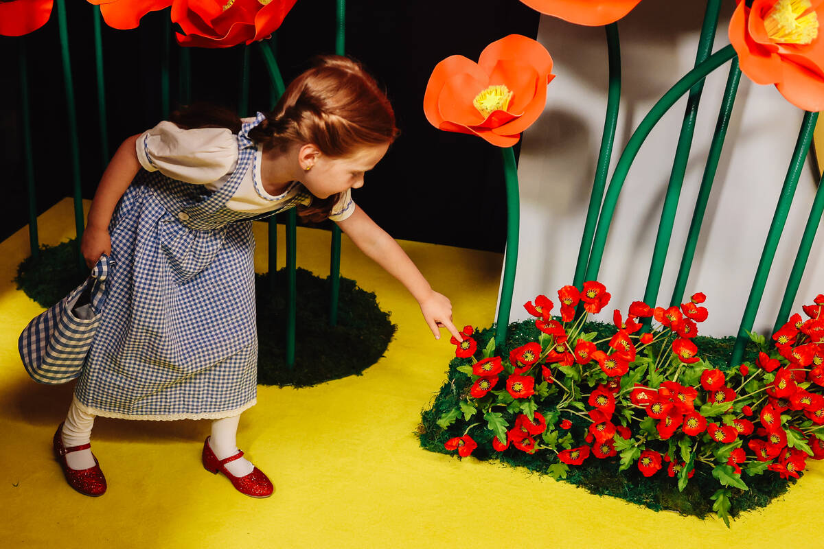 A child dressed as Dorothy picks a flower on a red carpet at the world premiere of “Wiza ...