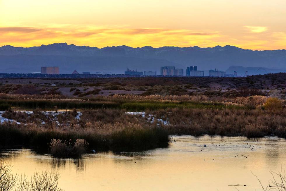 The sun sets as water flows along the wash with wetlands and the city skyline beyond. (L.E. Bas ...