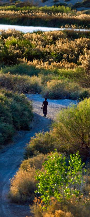 A person walks along the Las Vegas Wash. . (L.E. Baskow/Las Vegas Review-Journal)