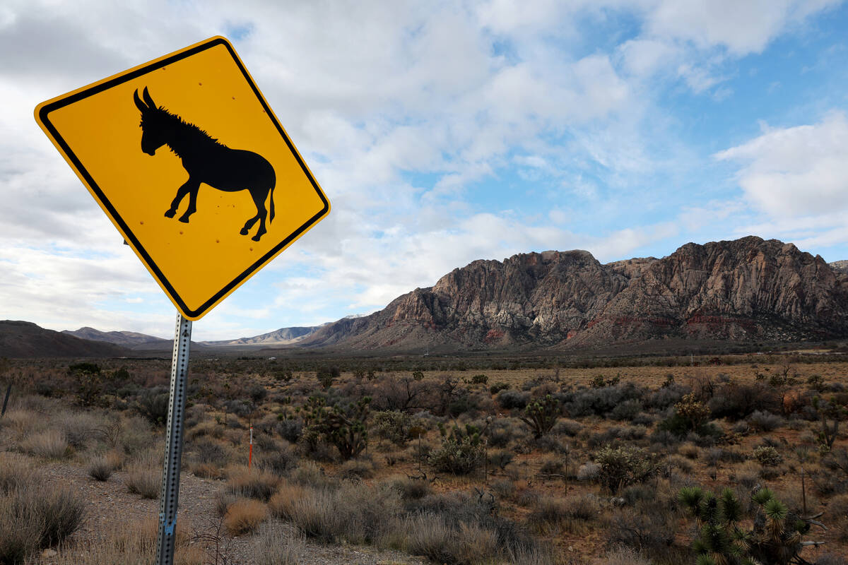 A wild burro warning sign is seen on State Route 159 in Red Rock Canyon National Conservation A ...