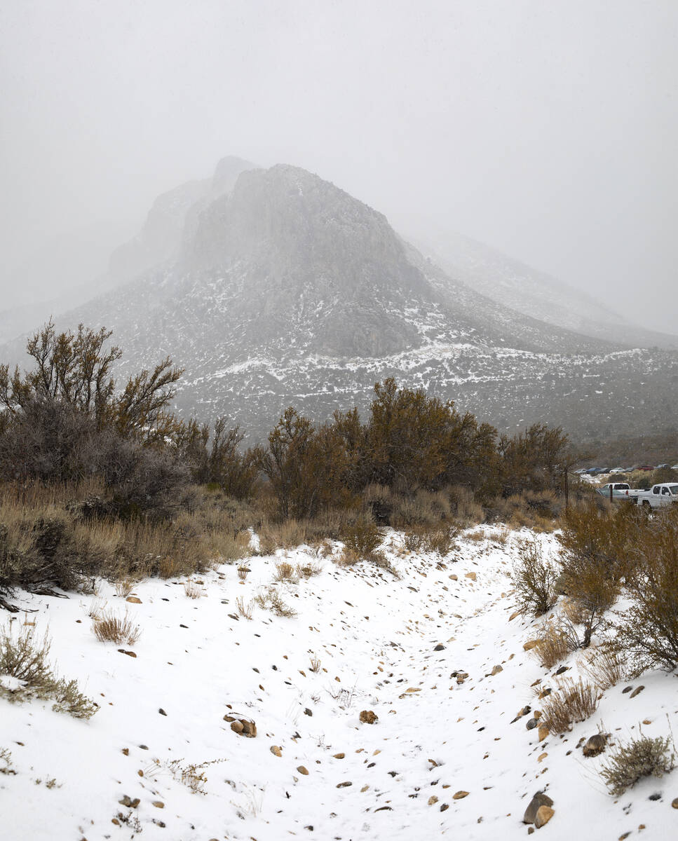 Mt. Charleston on Sunday, Nov. 8, 2020. (Rachel Aston/Las Vegas Review-Journal)