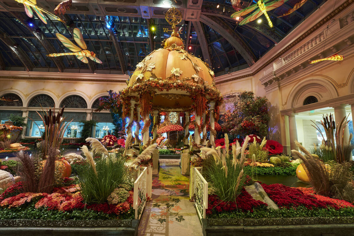 "Autumn Majesty: A Glamorous Harvest" is on display through Nov. 8 at The Bellagio Conservatory ...