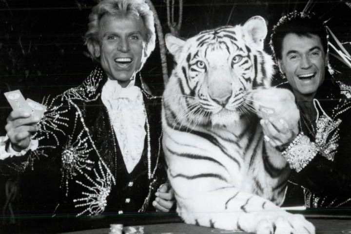 Siegfried and Roy at the Tropicana in May 1985. (Tropicana)