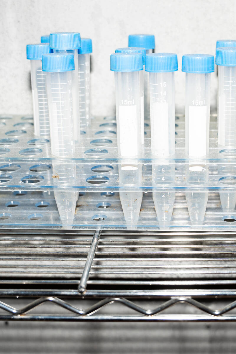 Test tube props from a ground zero, nuclear breakdown–themed haunted house are set up fo ...