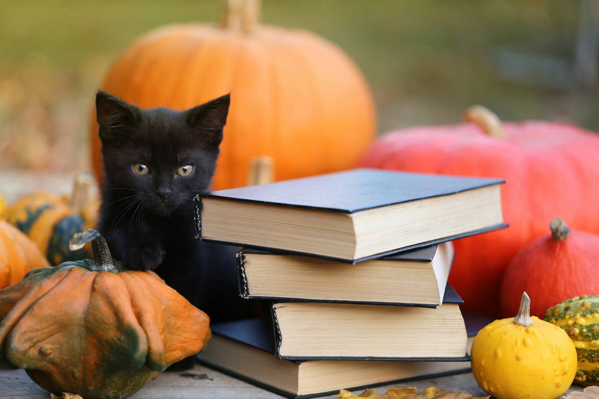This fall, we’ve been graced with a host of terrifying novels. (Getty Images)