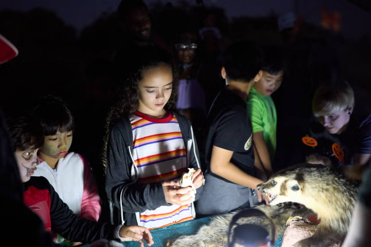 Clark County Wetlads Park will host the Halloween-themed Haunt the Wetlands on Friday. (Clark C ...