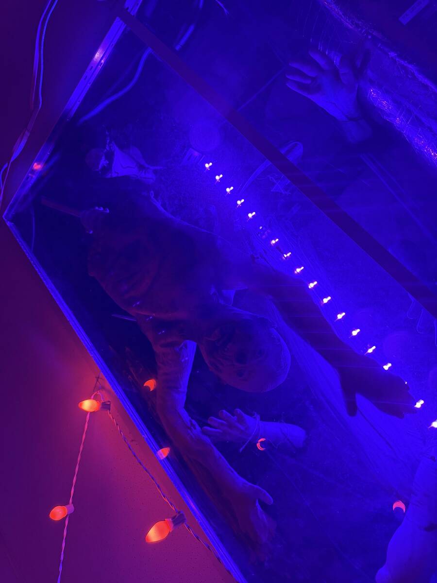 With red lighting and plenty of props, The Silver Stamp bar in downtown Las Vegas transforms ev ...