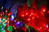 Cacti with lights are seen at Ethel M Chocolates' Holiday Cactus Garden on Monday, Dec. 16, 20 ...