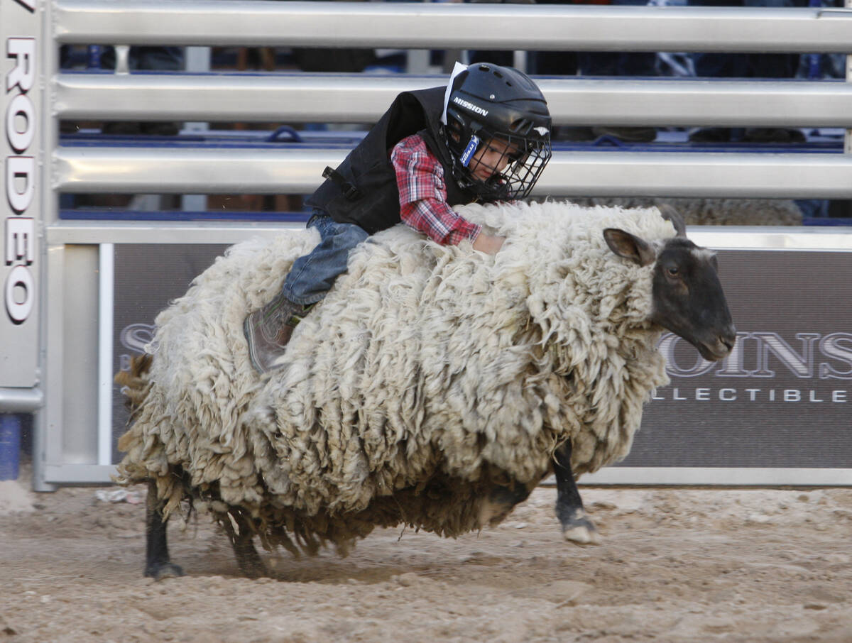 Rawlinz Porter competes in the Mutton Busting competition during the Las Vegas Helldorado Days ...