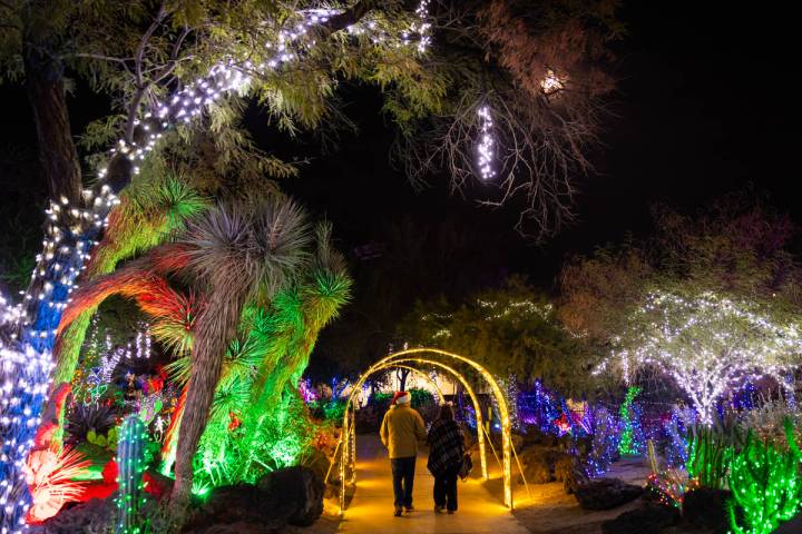 People walk around Ethel M Chocolates' Holiday Cactus Garden on Monday, Dec. 16, 2024, in Hende ...