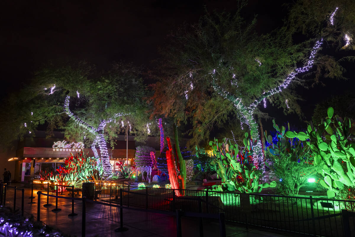 Ethel M Chocolates' Holiday Cactus Garden is seen on Monday, Dec. 16, 2024, in Henderson. (Chas ...