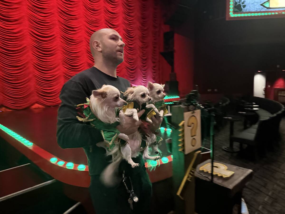 Piff the Magic Dragon's Creative Director Gabriel Krueger holds Mr. Piffles II and understudies ...