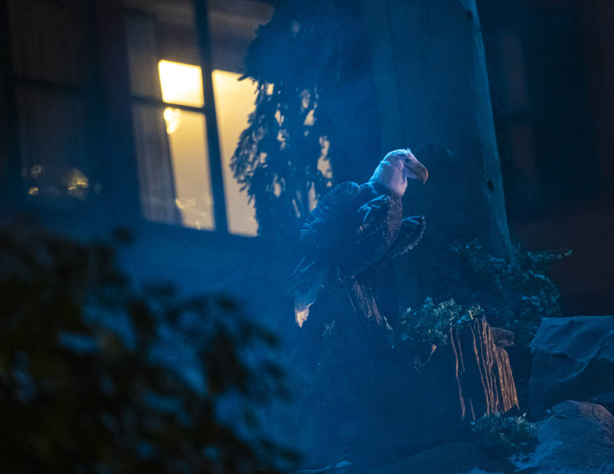 An animatronic eagle is seen in the show at Mystic Falls Park at Sam's Town on Wednesday, Aug. ...