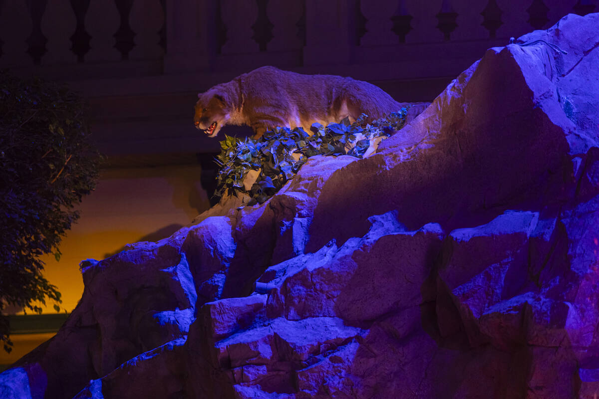 An animatronic bobcat is seen in the show at Mystic Falls Park at Sam's Town on Wednesday, Aug. ...