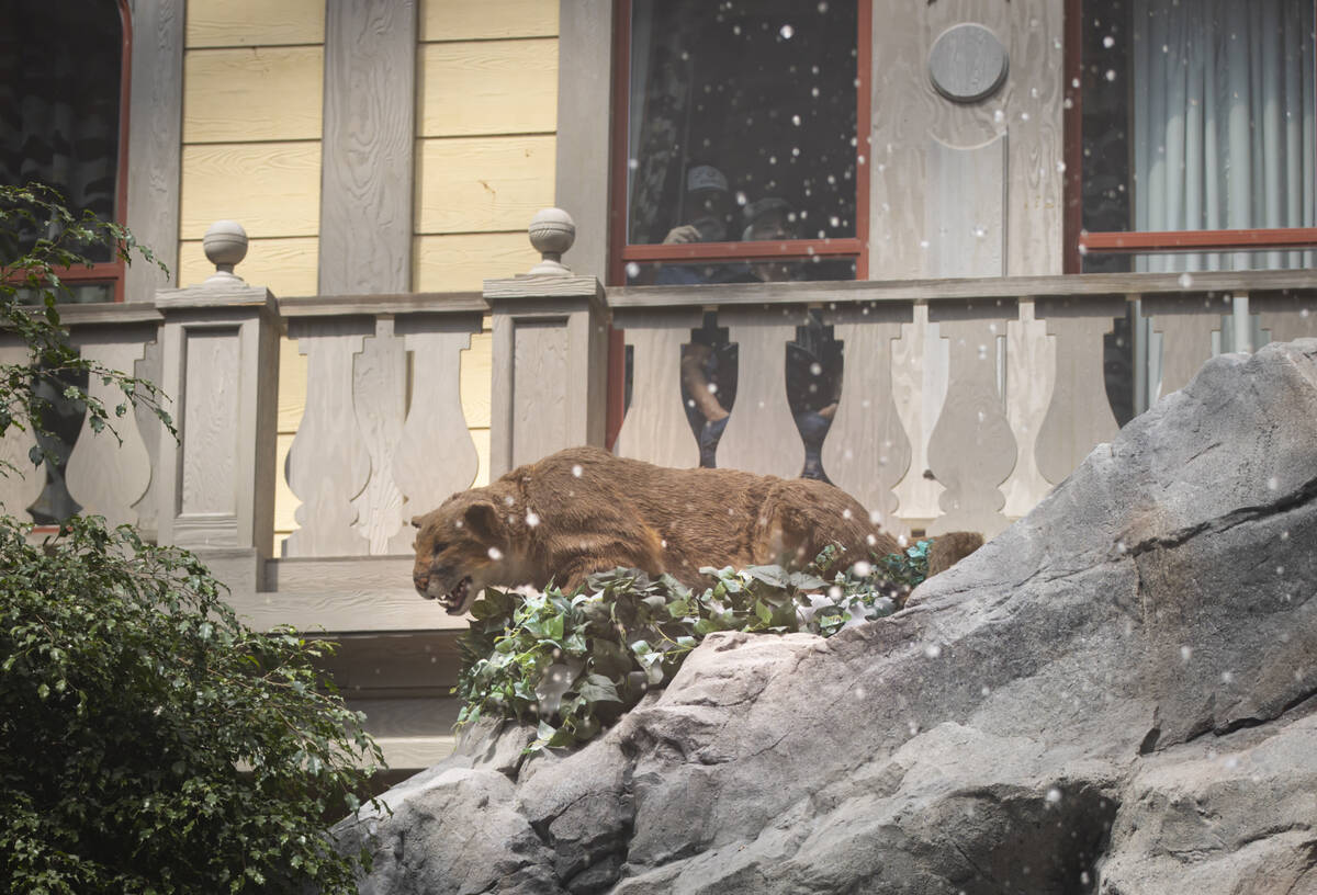 An animatronic mountain lion is seen at Mystic Falls Park, which features a laser and water sho ...