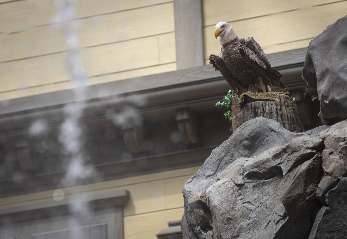 An animatronic eagle is seen at Mystic Falls Park, which features a laser and water show with a ...