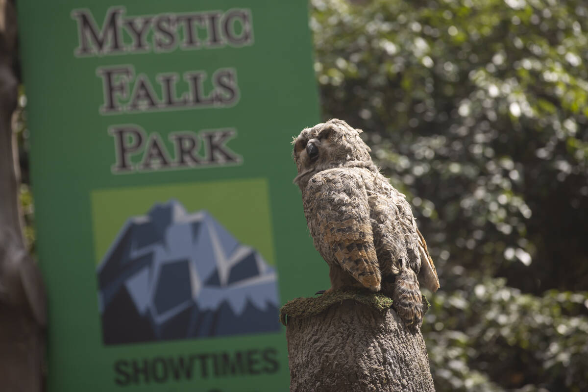 An animatronic owl is seen at Mystic Falls Park, which features a laser and water show with ani ...