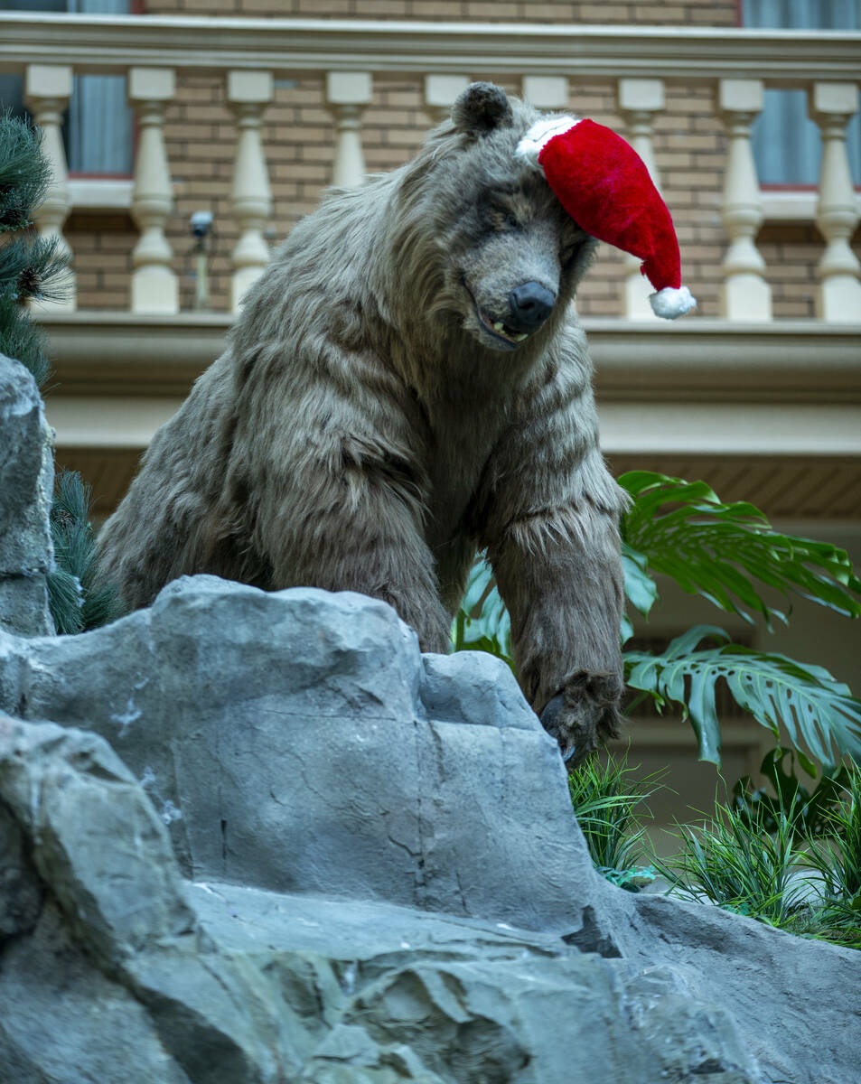 A bear wears a Santa hat in the Mystic Falls holiday display at Sam's Town on Wednesday, Dec. 2 ...