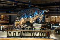 A mirrored armadillo art piece as part of the new Stoney's North 40 country club coming to ...