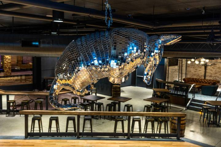 A mirrored armadillo art piece as part of the new Stoney's North 40 country club coming to ...