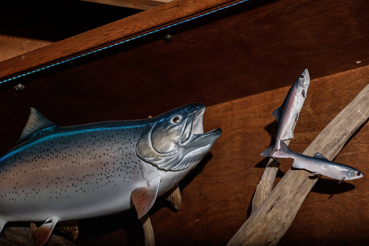 The interior decor at The Dustland Bar is shown Friday, Sept. 26, 2025 in Las Vegas. (Benjamin ...