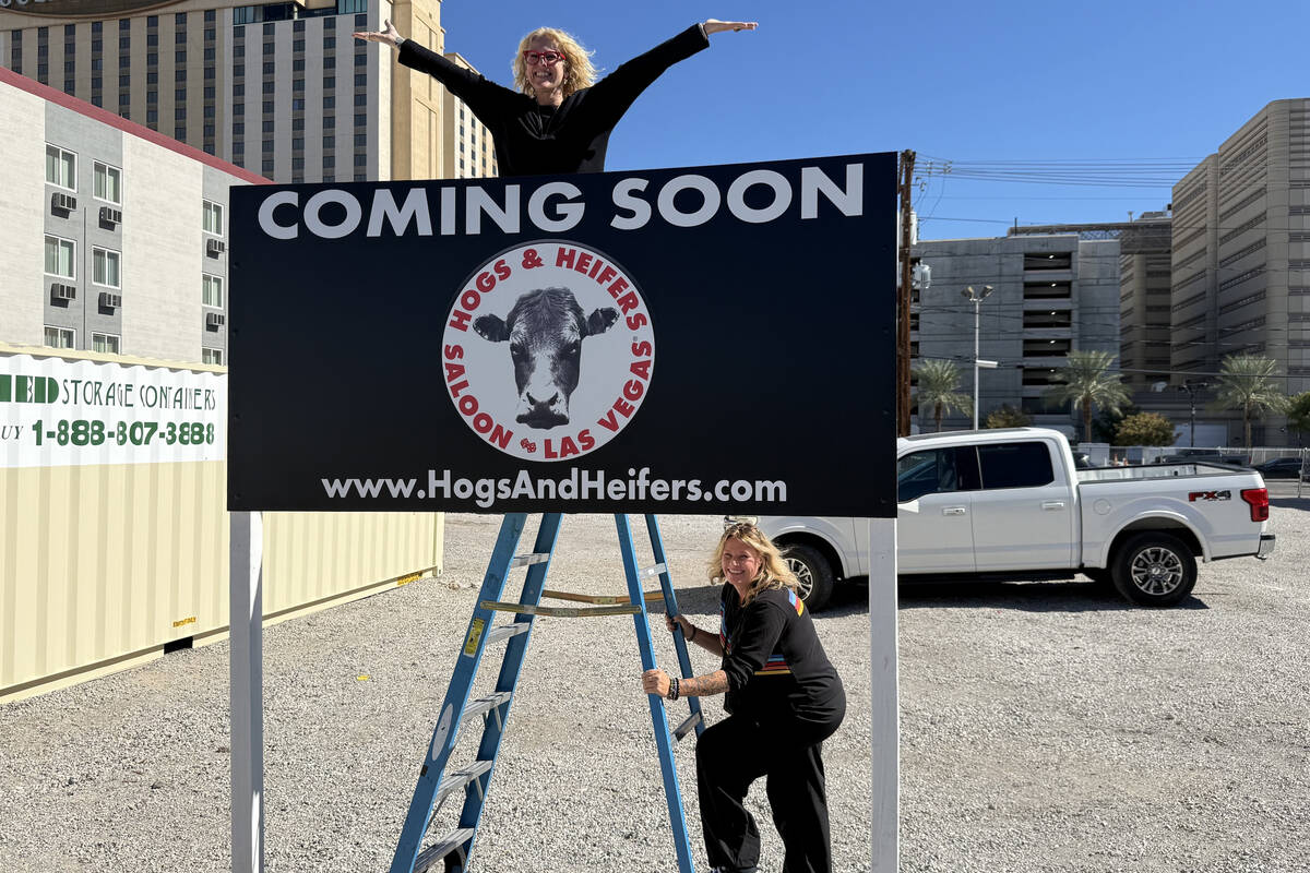 Michelle Dell (arms out) and Michelle Sandler show off the new, temporary sign just installed a ...