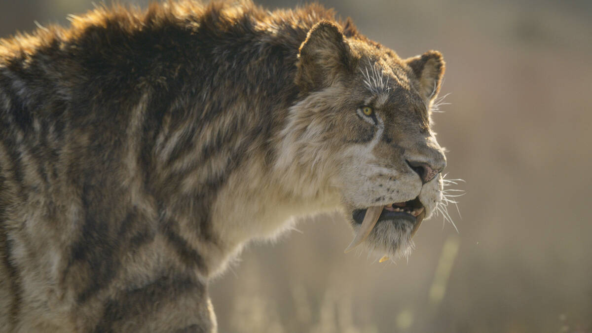 This computer generated image released by Apple TV shows a Smilodon, a saber-toothed cat, in a ...
